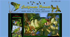 Desktop Screenshot of californiaparrots.us