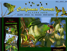 Tablet Screenshot of californiaparrots.us